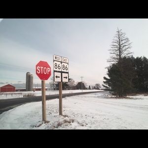 Meet your Posher, Daisy